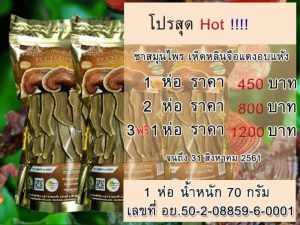 ราคาหลินจือ