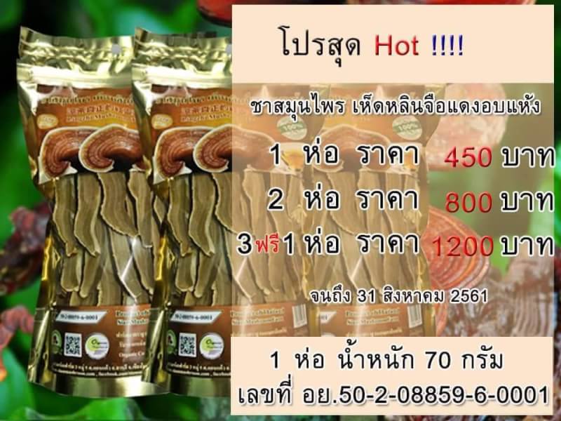 ราคาหลินจือ