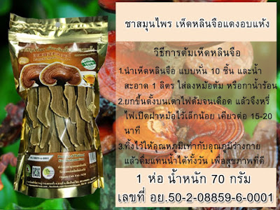 วิธีต้มเห็ดหลินจือ